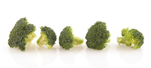 Fresh stumps brocoli vegetables isolated over white