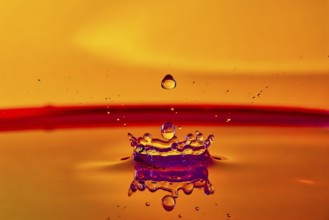 A falling drop of water creates an impressive crown on an orange-coloured surface, high-speed