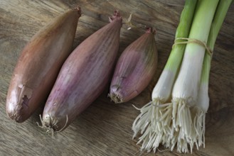 Shallots and spring onions