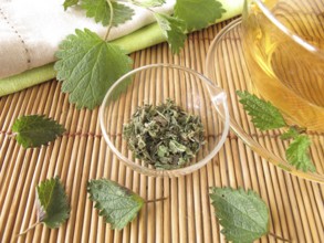 Nettle tea