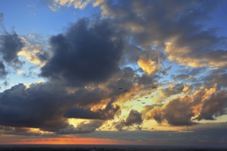 The magnificent sunset over the Adriatic Sea. Flying Triangle flock of migratory birds