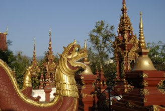 Mornthean, Chiang Mai, Thailand, Asia