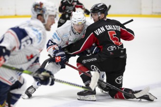 KA2, Cologne, North Rhine-Westphalia, Robin van Calster (Cologne Sharks, #5), PENNY DEL, Test match