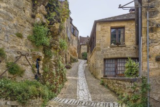 Street with historical houses in Beynac-et-Cazenac, Dordogne department, France, Europe