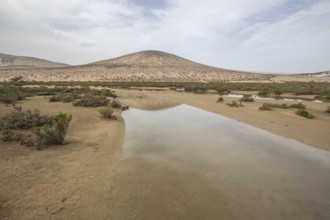 A sandy beach with a shallow lagoon by the sea. Barren landscape, taken in the evening. sandy beach