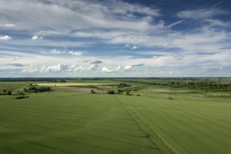 Aerial view of agricultural fields. Countryside, Agricultural Landscape Aerial view