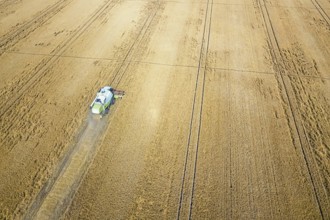 Combine harvester working on a wheat field. Combine harvester Aerial view