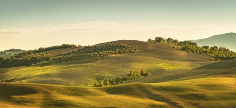 Fields in Tuscany