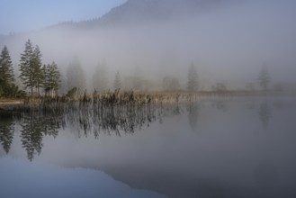 Morning fog at Ferchensee near Mittenwald