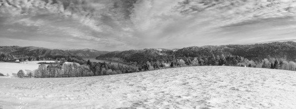 Above the Slapy dam in winter. Snow and hoarfrost covered trees in the frosty morning. Amazing