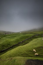 The wild landscape of the Faroe Islands in the North Atlantic