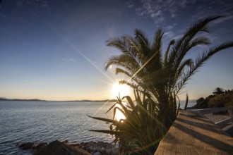 View through palm trees on a sandy beach into the sunset. Landscape shot with view to the horizon