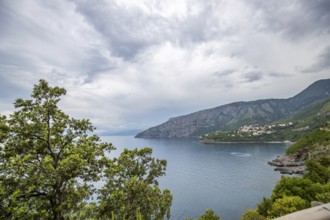 Coastal landscape shot. View from a road leading along the sea and through a breathtaking green