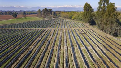 Aerial top view drone photography of chilean landscape