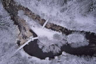 Aerial view of winter river landscape, snow covered branches, trees and ground, Nukarinkoski,