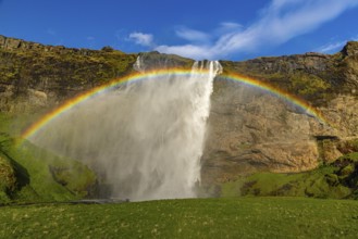 Seljalandsfoss in the evening light, Iceland, Europe