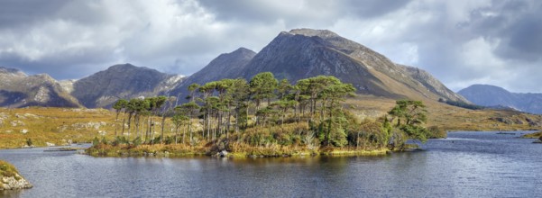 Panoramic landscape with lake from Pines Island Viewpoint in Galway county, Ireland, Europe