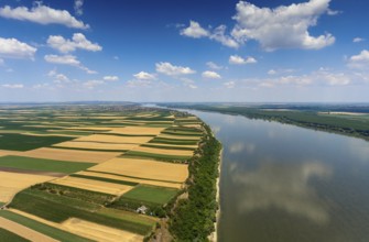 Aerial view of colorful fields on high bank of Danube river in Serbia
