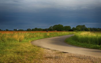 A road through the landscape of Schleswig Holstein, Germany, Europe