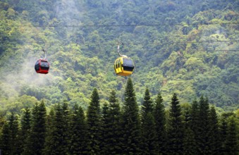 Gondolas of a ropeway travel above a misty forest