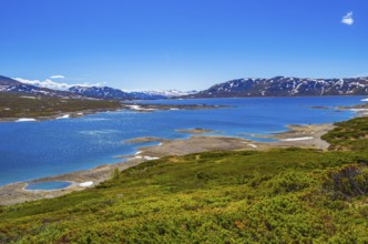 Amazing Vavatn lake panorama rough landscape view rocks boulders and mountains during summer in