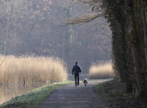 Elderly man walking a small dog on the shore of a lake, morning calm in autumn, Burghausen, Upper