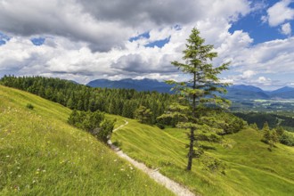 View from the Hoher Kranzberg to the Estergebirge near Mittenwald