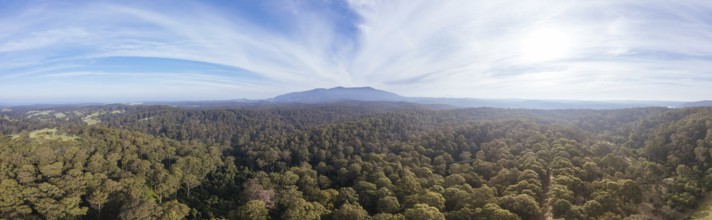 Aerial view near Central Tilba of Mount Dromedary in Gulaga National Park in New South Wales,