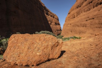 Kata Tjuta, formerly The Olgas, Walpa Gorge Area, Uluru-Kata Tjuta National Park, Northern
