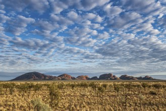 Kata Tjuta, formerly The Olgas, panorama, view from south, Uluru-Kata Tjuta National Park, Northern