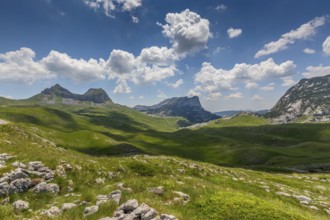Landscape with mountains in the park Durmitor, Montenegro, Europe