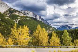 The dramatic storm clouds over the Rocky Mountains. The road is among autumn dense evergreen and