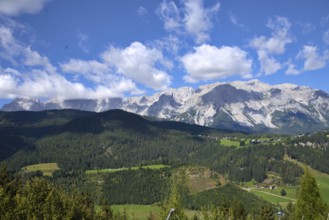 Panoramic view of the mountains with the Dachstein massif in green Styria - Austria