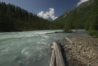 The mountain river in the mountains. Current through the gorge the river. Stones and rocky land