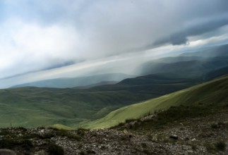 Mountain landscape with grass in the hills. Mountain landscape. Mountain vegetation