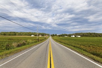 Agriculture, country road trougha farmland, Province of Quebec, Canada, North America
