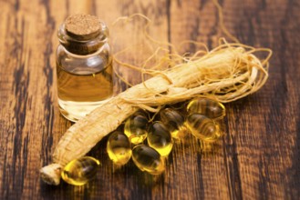 Korean ginseng. Herb, health, lodz, poland