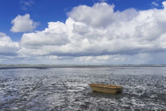 Mudflat