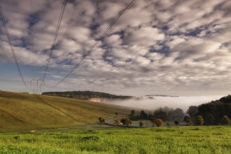 Uncultivated fields in tme morning mist