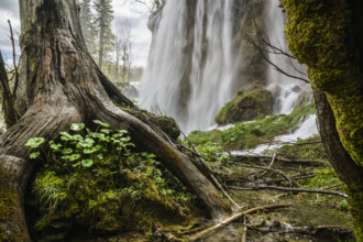 Parque Nacional de los Lagos de Plitvice, Patrimonio Mundial de la UNESCO, Croacia, europa