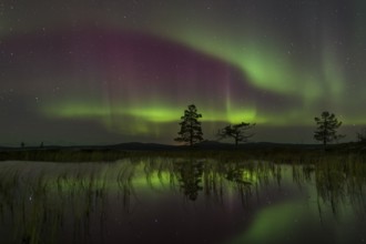 Northern Lights (Aurora borealis) reflected in a mountain lake, Gällivare, Norrbotten, Lapland,