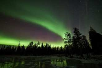Northern Lights (Aurora borealis), Muddus National Park, Laponia World Heritage Site, Norrbotten,