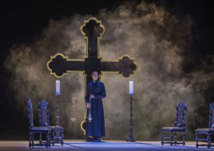 La Cage Aux Folles (A Cage Full of Fools)