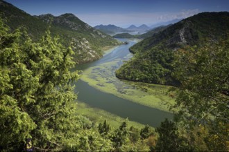 Montenegro, Skadar Lake, Skutari Lake, Lake Skadar, Montenegro, Europe