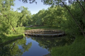 A small pond in a sunny summer morning (Moscow, Russia)