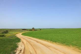 Early spring in fields in southern Israel. Driving at high speeds on country road