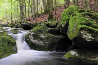 Sagwasser in the Bavarian Forest, in the summer Sagwasser in the Bavarian Forest, in the summer