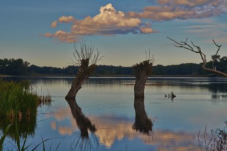 Stuerscher See nature paradise near Stuer, Mecklenburg-Western Pomerania