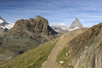 Trail at Riffelhorn with Matterhorn, Zermatt, Alps, Switzerland, Europe