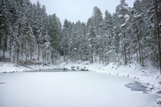 An image of the Eibsee at winter